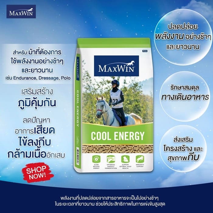 https://maxwin.com.ro/